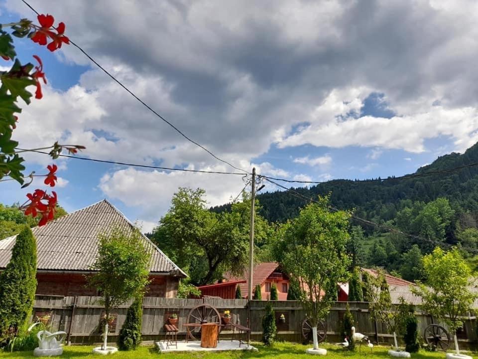 Cabana Ana Aranyosvágás Kültér fotó